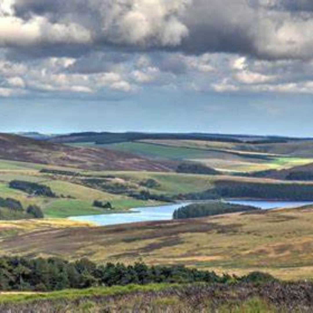 The views of Lammermuir Hills